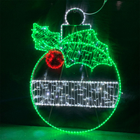 Lumières LED personnalisées en forme de sapin de Noël 2D, étanches IP65, pour l'éclairage extérieur de festivals, parcs à thème et décorations de stations balnéaires