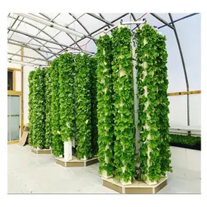 Agricultural Greenhouses vertical farm hydroponic tower greenhouse tunnels