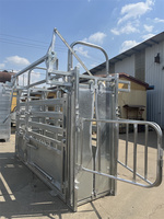 Chute de retenue de bétail vétérinaire robuste avec conception anti-coup de pied et porte de tête bovine réglable pour ranchs