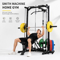 Zoshine – Station multifonctionnelle d'entraînement complet en acier pour musculation, idéale pour la poitrine et les bras