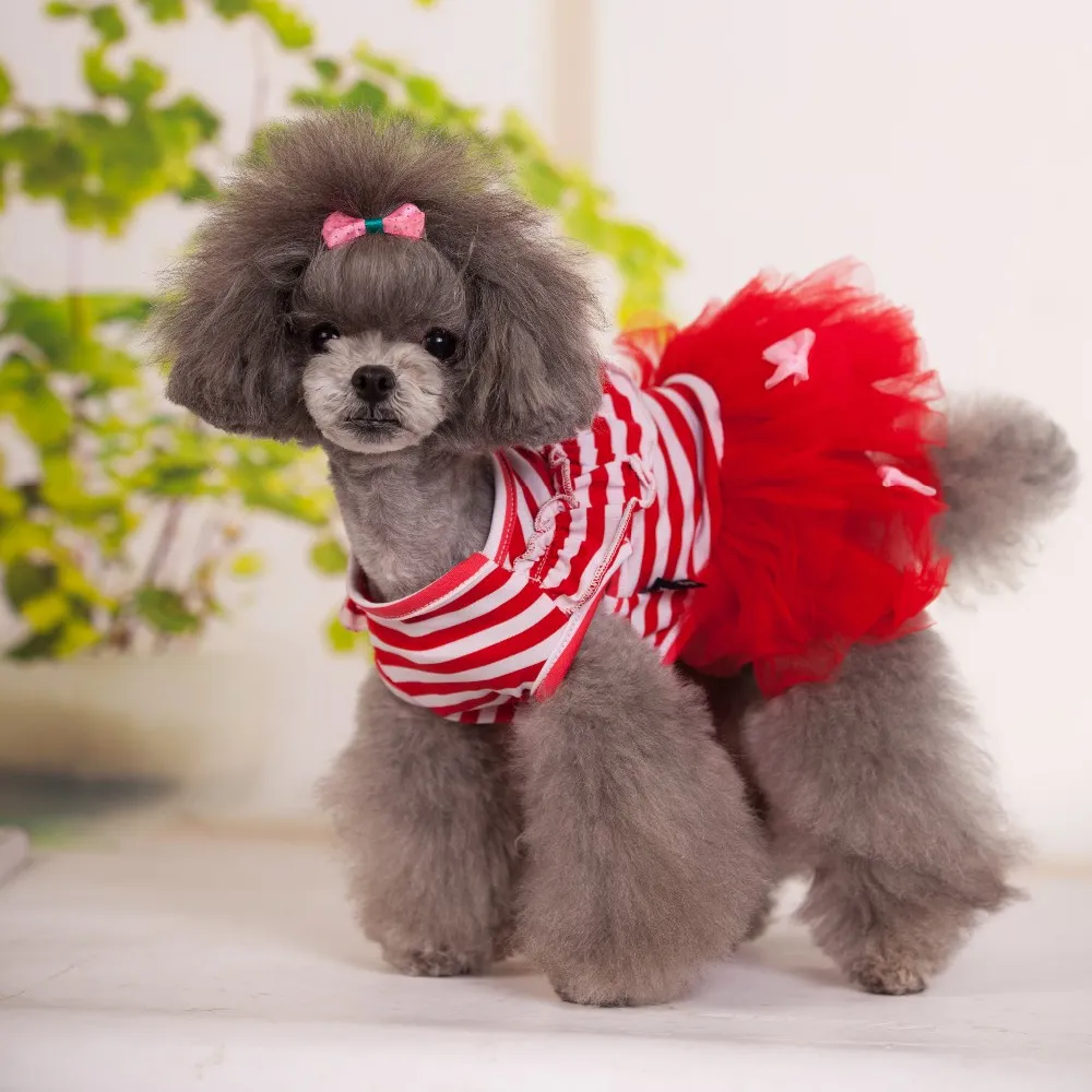 New design pet accessories clothes pet dog sock coat vest sweater and shoe dog clothes of dog