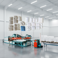 Machine automatique de fabrication de boîtes et assiettes jetables en mousse PS, très demandée au Moyen-Orient, avec moteur, haute productivité, prix bas