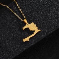 Collier avec pendentif en acier inoxydable personnalisé, carte de l'Haïti avec les villes, pendentif carte nationale d'Haïti