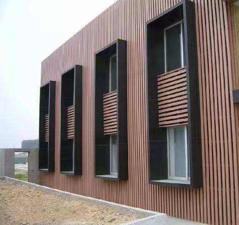 Durable WPC Co-Extrusion Wall Cladding - Bestoo Quality