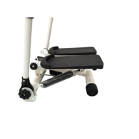 Mini stepper d'escalade à double poignée OEM ODM pour entraînement cardio en intérieur avec base stable
