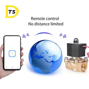 WiFi intelligent contrôler à distance la vanne sur le téléphone portable WIFI électrovanne en laiton vanne d'eau - Product Image 2