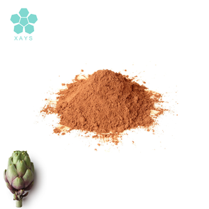 Bulk Food Grade Natuurlijke Organische Halal <span class=keywords><strong>Cynara</strong></span> Scolymus/Artisjok Leaf <span class=keywords><strong>Extract</strong></span> 2.5%, 5% Cynarin Poeder - Product Image 1