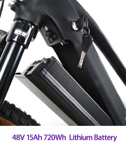 Bicicleta de montaña eléctrica de suspensión completa de 29 pulgadas con motor central de descenso Fat Tire E-Bike Batería de litio Características eléctricas - Product Image 6