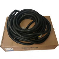 Faisceau de câblage de véhicule à prix réduit 1010797660 pour moteur Weichai Baudouin 6M33