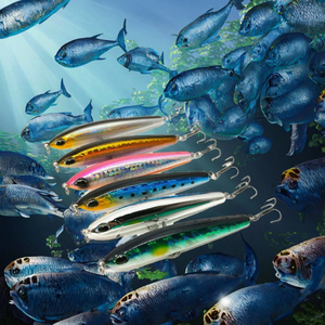 17.5G 10cm nổi nhựa bút chì mồi Topwater đi bộ Chó 3D swimbait móc Popper cho thuyền đại dương đánh cá mục tiêu loài cá chép - Product Image 3