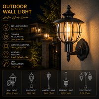 Lanterne murale d'extérieur Globe Cage avec verre transparent pour entrées de villas