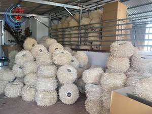 Lámpara colgante de hierba marina con pantalla de techo de bambú tejida de estilo moderno de fábrica vietnamita con precio competitivo - Product Image 5