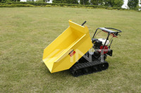 ANT BY300C Mini-Raupendumper Baggerlader mit Briggs & Stratton Motor, Getriebe-Kernkomponenten, lange Lebensdauer, getestet und geprüft