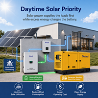 Sistema de Energía Híbrido Solar-Diésel Solard Serie SLD-HES, Batería de Litio LiFePO4, Inversor de 220V/380V/400V/415V, Capacidad Personalizada