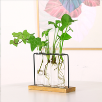 Station de propagation de plantes moderne et écologique, sculptée à la main, avec terrarium en tubes à essai, vases et support en verre pour bourgeons, pour table de jardin