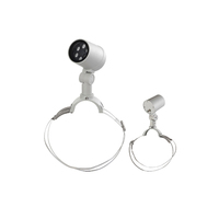 Aluminium-Garten-PWM-RGB/RGBW-LED-Baumbeleuchtung, wasserdicht IP65, warmweiße Flutlichtlampe mit Ring