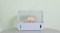 Machine à Champignons de Table Intelligente à Bas Prix, Modèle Champignon Buff, Facile à Utiliser, Blanc & Gris