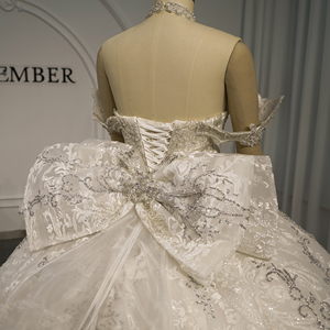 Vestido de Novia Xyg006-Pz con Corsé de Cuentas, Apliques de Encaje Plateado, Cola Catedral y Lazo en la Espalda, Estilo Princesa, Jancemebr - Product Image 5