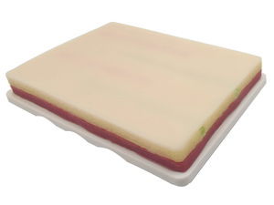 Điều Dưỡng tiêm đào tạo venipuncture <span class=keywords><strong>IV</strong></span> thực hành silicon Pad - Product Image 4