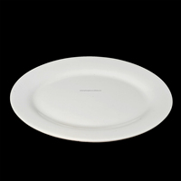 Assiettes ovales en céramique écologiques de haute qualité avec logo personnalisable – Fournisseur direct d'usine pour restaurants