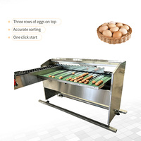 Clasificador de Huevos de Acero Inoxidable de Grado Alimenticio con Cinta Transportadora