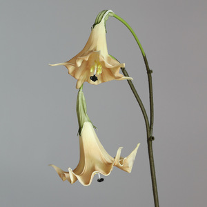 YOPIN-7858 Flor Artificial de Datura <span class=keywords><strong>Stramonium</strong></span> Blanca de Alta Calidad con 2 Cabezas, Tacto Real, de PU, para Centro de Mesa, Decoración de Bodas - Product Image 3