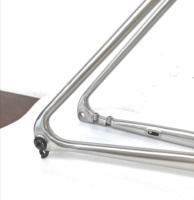 Cuadro de Bicicleta de Carretera de Titanio Impreso en 3D