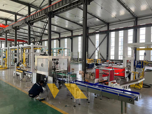 Carton Đóng Gói trường hợp đóng gói cho dây chuyền sản xuất tự động hóa với Giảm lao động yêu cầu - Product Image 4