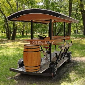 Vélo à pédale à vitesse unique pour la location, idéal pour les attractions de luxe et les excursions en vélo avec panneaux solaires, en promotion - Product Image 2