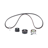 ONESIMUS Neuer Hochwertiger OEM Automotive Steuerkettensatz 95518060 für Auto-Motorersatzteile