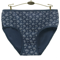 Nouvelle conception, vente en gros, sous-vêtements en coton pour femmes, taille plus, confortables et respirants