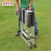 Échelle télescopique pliable professionnelle en aluminium double 2M En131