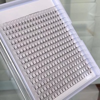 Vente en gros de faux cils préfabriqués 3D 4D 5D 6D 10D Volume Faux cils plateaux d'extension de cils 10D préfabriqués