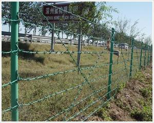 Fil barbelé galvanisé de haute qualité avec revêtement PVC - Bobine - Étanche - Durable - Clôture pour ferme et <span class=keywords><strong>chantier</strong></span> - <span class=keywords><strong>Prix</strong></span> usine - Product Image 4