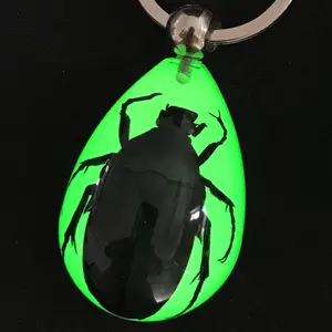 Porte-clés en résine d'insectes de coléoptère vert véritable naturel brillent dans l'obscurité forme de goutte d'eau personnalisé en gros créatif véritable porte-clés d'insectes