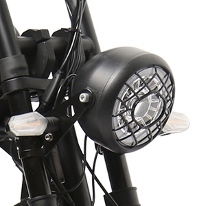 TXED-Vélo Cruiser à Vitesse Unique de 20 Pouces, Moteur Populaire de 500W, Pneu Gros, Moins Cher, 48V, <span class=keywords><strong>Chopper</strong></span> avec Caractéristiques de Motos de Tourisme - Product Image 4