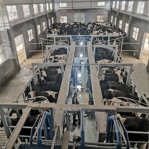 Haut taux <span class=keywords><strong>de</strong></span> <span class=keywords><strong>traite</strong></span> <span class=keywords><strong>Vache</strong></span> Salon <span class=keywords><strong>de</strong></span> <span class=keywords><strong>traite</strong></span> 80 Positions Composants-Pompe Moteur Fermes - Product Image 6