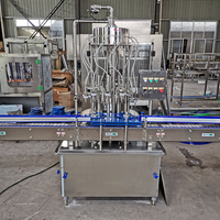 Machine de remplissage complète pour vin, boissons, Vodka, whisky, alcool, plantes, ligne de bouteilles, ml