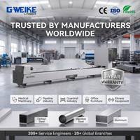 Machine de découpe laser à fibre Gweike T2 1500W à 3000W avec double mandrin et serrage stable pour cadre d'équipement de terrain de jeux