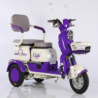 Tricycle à passagers 72V800W 32AH, tricycle à passagers japonais, vélo électrique, vélo électrique de loisirs