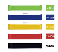 Bandas de Resistencia de TPE Seguras para la Piel con 5 Niveles, Bandas de Ejercicio No Tóxicas para Piel Sensible, Entrenamiento de Glúteos