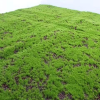 Tapis de mousse artificielle vert émeraude, mélange jaune-brun, gazon floqué pour bonsaï, micro-paysage, modèle de table de sable