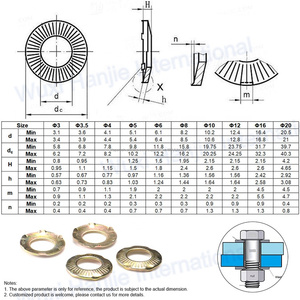 DIN6795 Arandelas de contacto de puesta a tierra cónicas ranuradas tipo francés de acero con garras para equipos eléctricos - Product Image 4