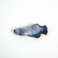 Peluche créative 3D carpe poisson forme chat jouet cadeau mignon Simulation poisson jouant jouet pour animaux de compagnie cadeaux cataire poisson peluche oreiller poupée