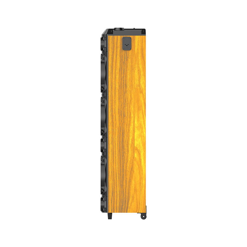 ZQS8315 Taşınabilir Kablosuz BT Hoparlör, Karaoke ve RGB Işık ile