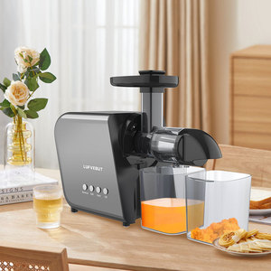 Exprimidor Lento Automático Ultra Silencioso - Diseño Fácil de Limpiar con Salida Ancha para Pulpa, Ideal para la Cocina Familiar - Product Image 1