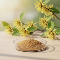 Poudre d'extrait d'hamamélis, extrait de Hamamelis Virginiana 10:1 20:1, soluble dans l'eau, pour complément alimentaire