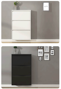 Meuble à chaussures moderne en métal à 4 niveaux, de luxe, pour entrée de salon, avec système de rangement inclinable - Product Image 2