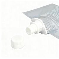 Sachets en plastique personnalisés pour échantillons de lotion pour le corps, recharge, bec verseur, pochettes liquides, sacs de voyage portables pour crème pour les mains