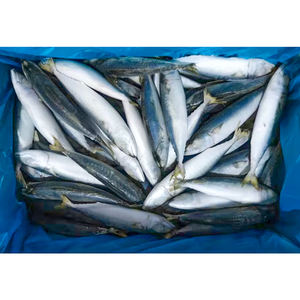 هبوط الصين من نوع ماكريل أزرق بالكامل - Product Image 3